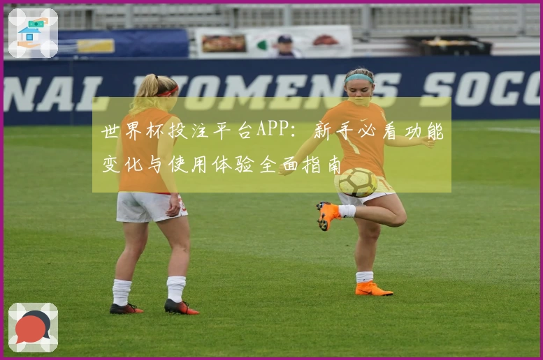 世界杯投注平台APP：新手必看功能变化与使用体验全面指南